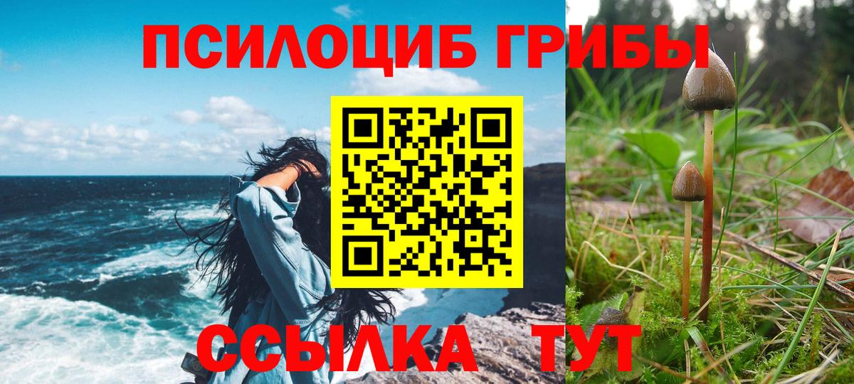 Псилоцибиновые грибы Magic Shrooms Симферополь
